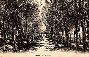 ARZEW 016